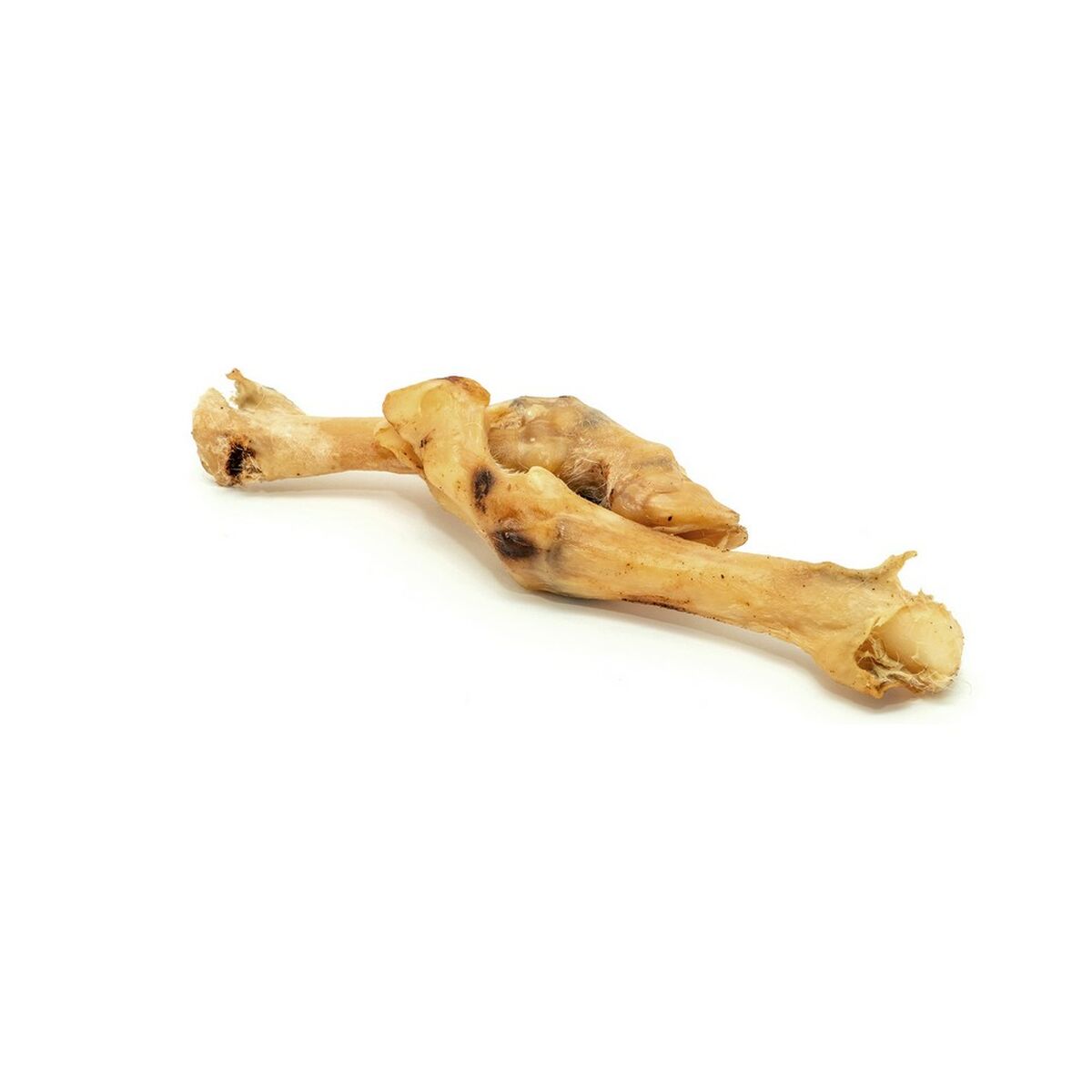 Futter Gloria Lamm